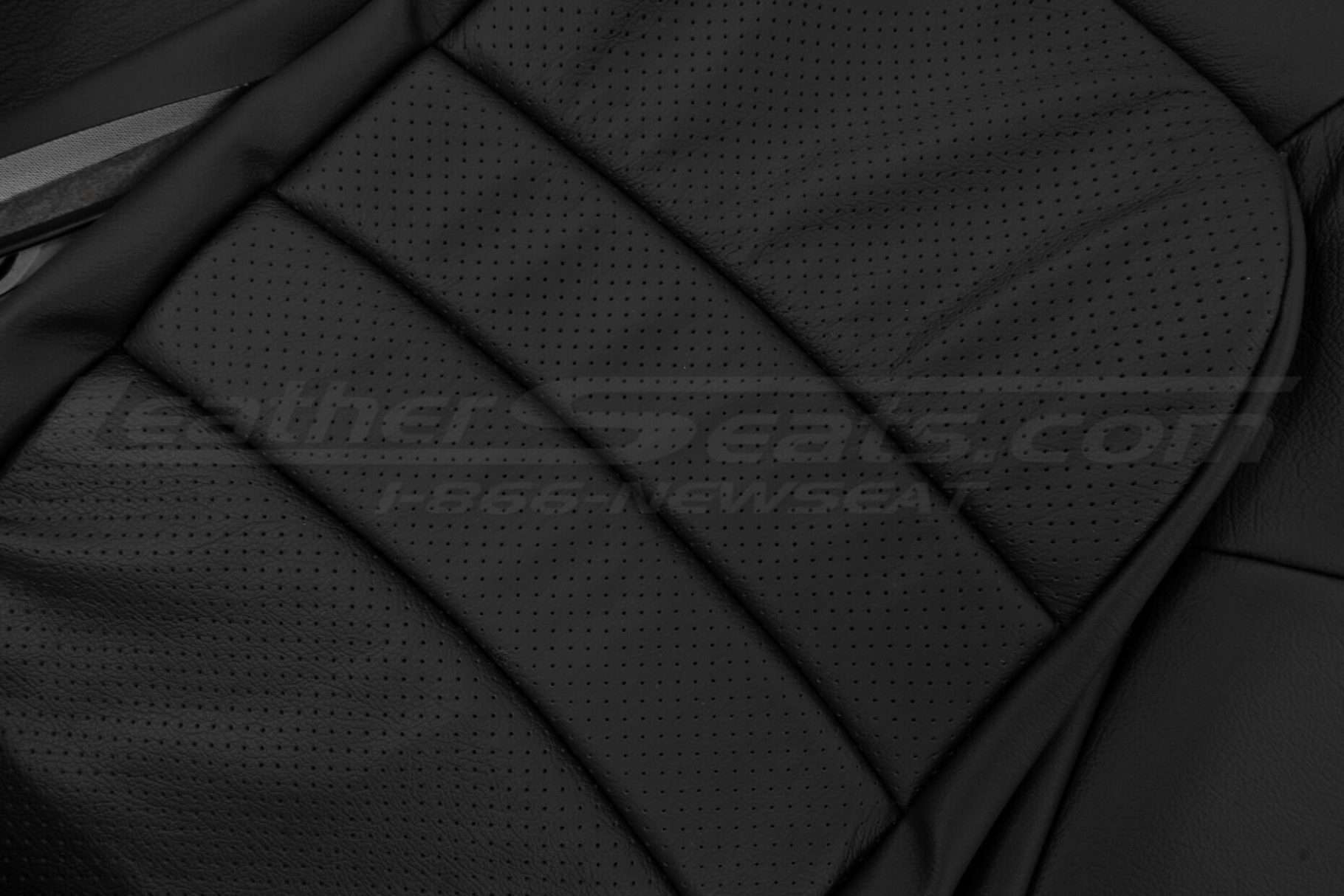 Perforated Body section close-up and leather texture