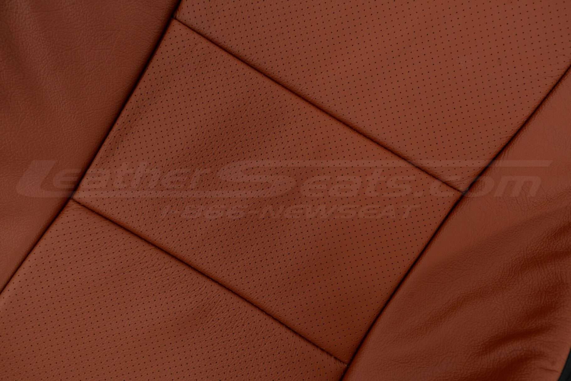Perforated Body section close-up