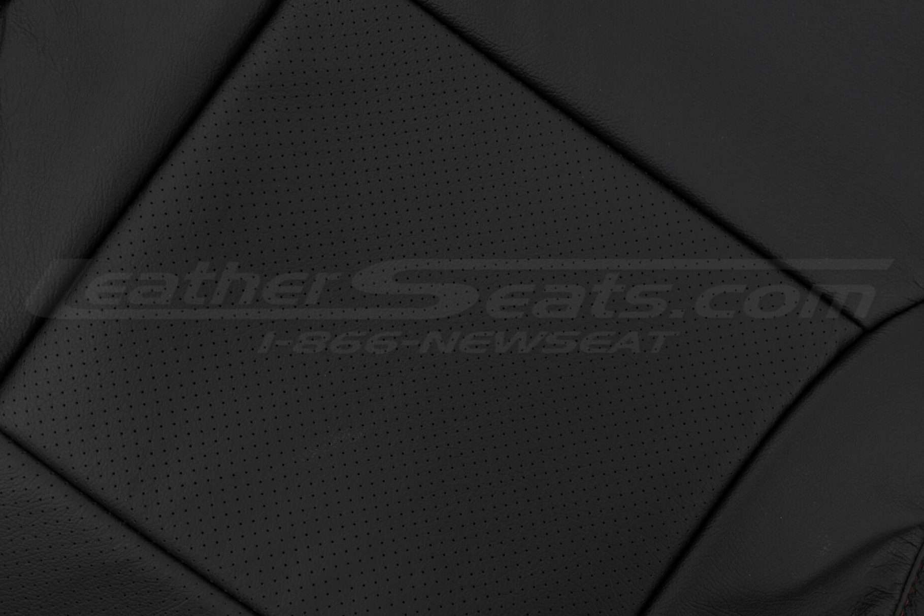 Perforated Insert close-up & leather texture