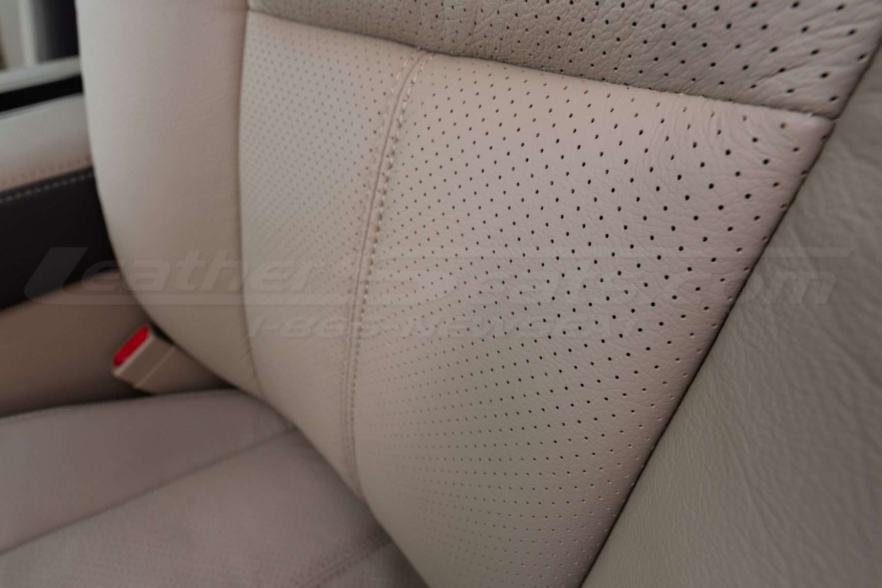 Perforated Body sections close-up