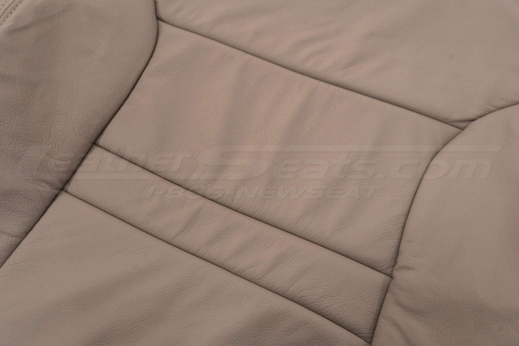 Adobe insert section close up - leather texture