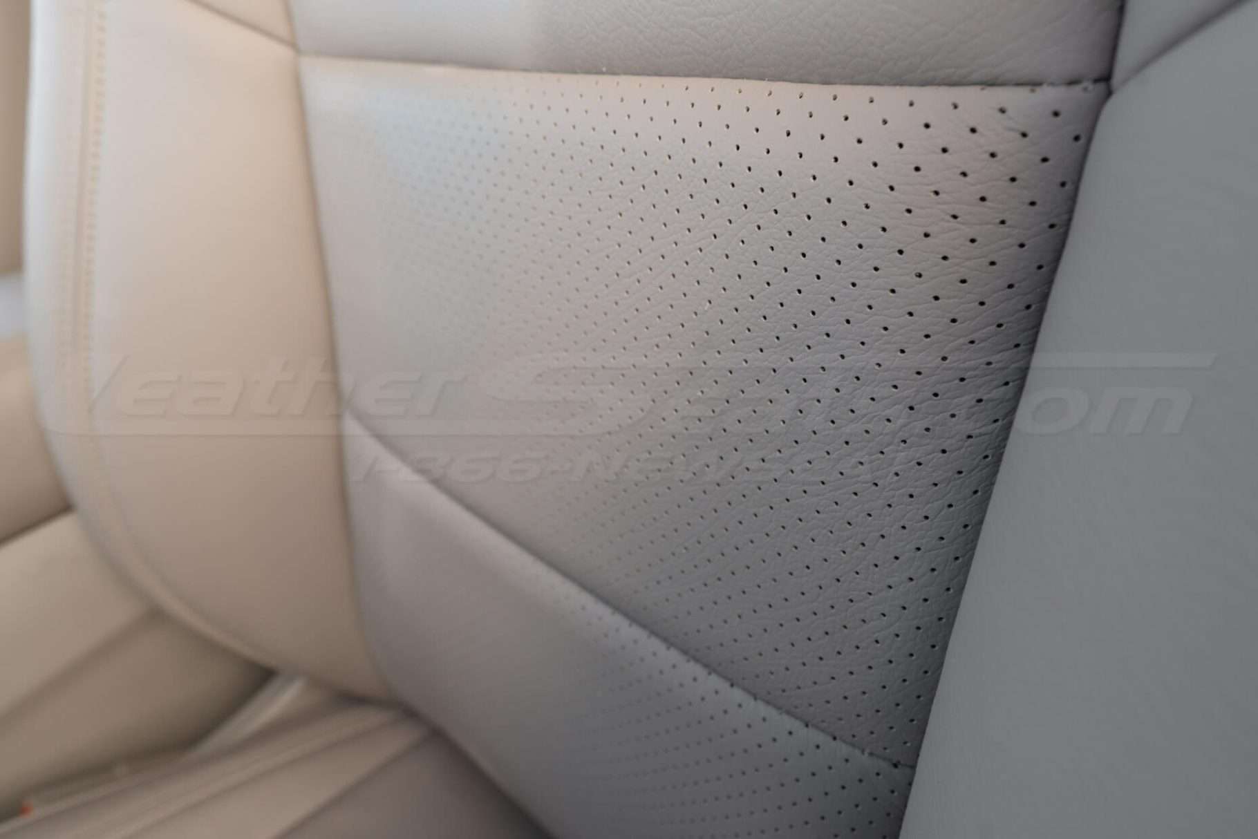 Adobe perforated combo close-up
