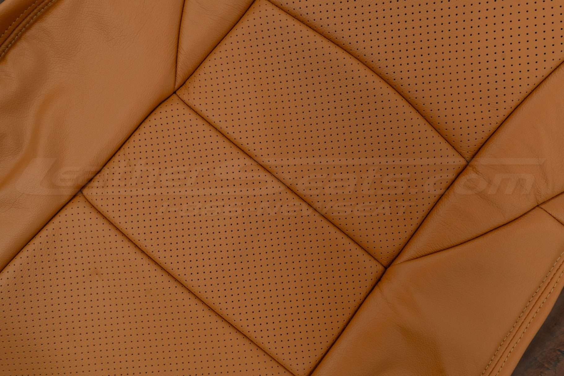 Perforated Body section close-up