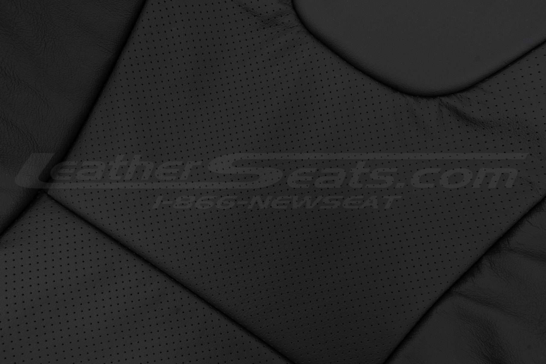 Perforated Combo section of leather backrest upholstery
