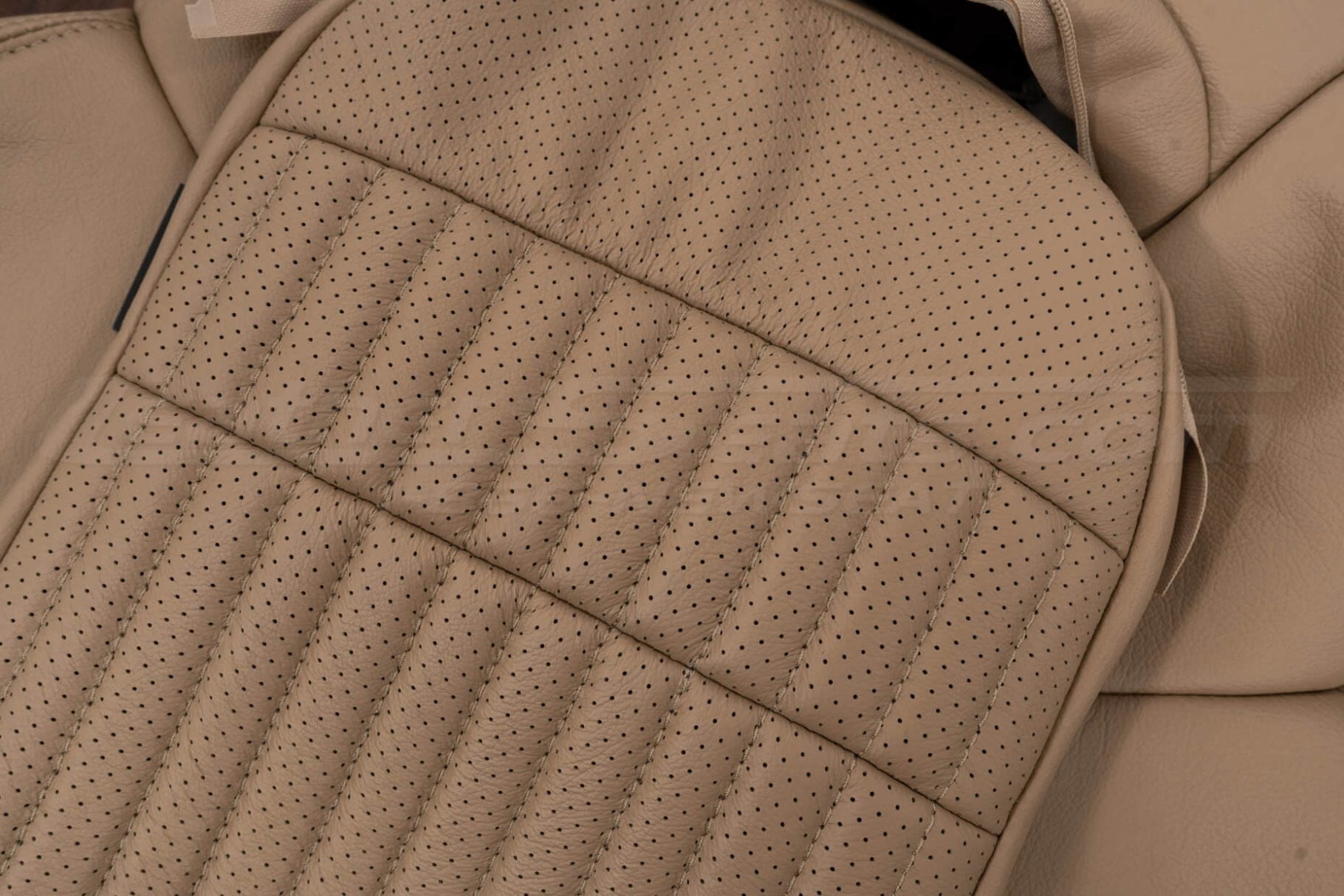 Perforated Insert close-up on C5 corvette leather seats