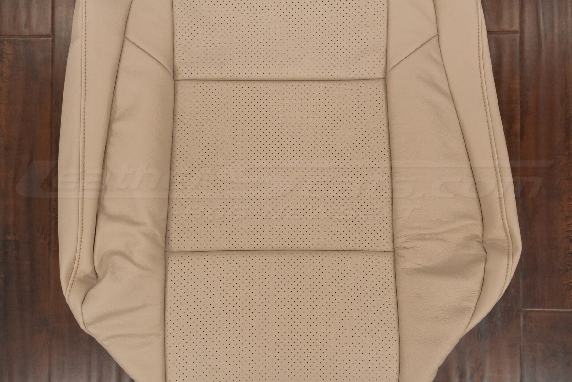 Perforation Body section leather texture