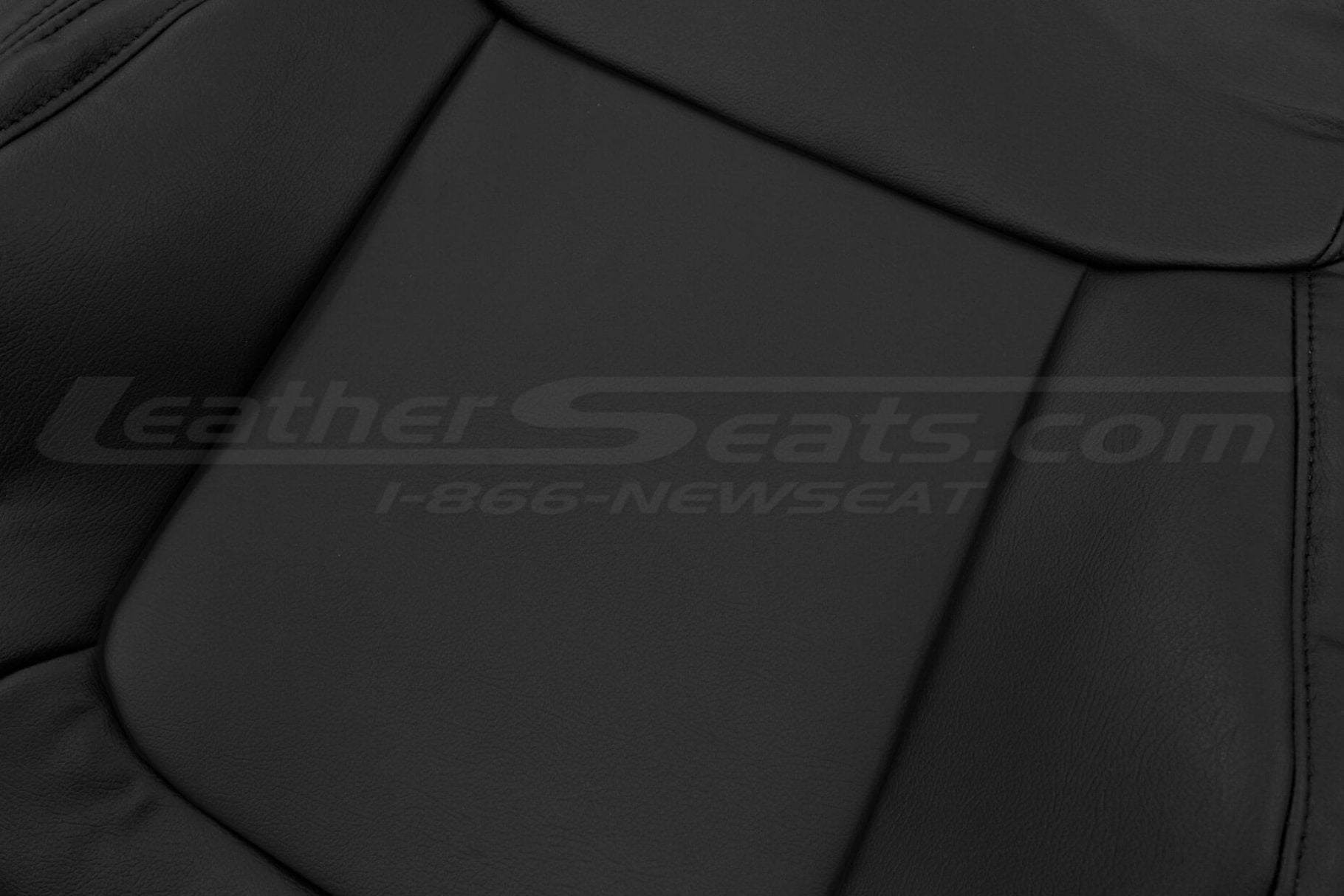 Santa Cruz black leather texture close- up