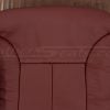 Upper section of Ruby Red leather tahoe backrest